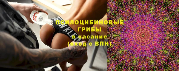 дурь Алексеевка