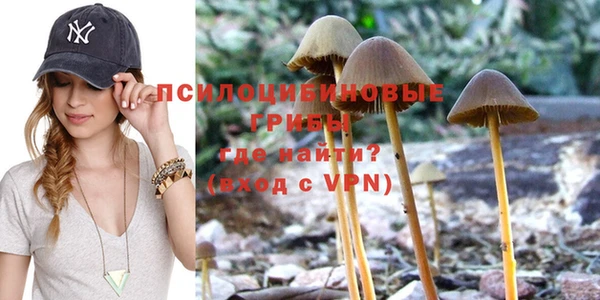 дурь Алексеевка