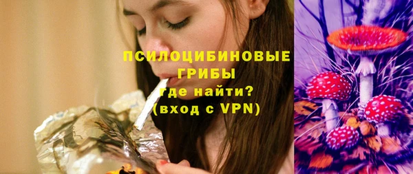 МДПВ Алексин