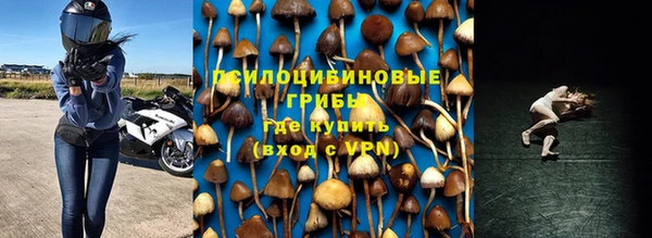 МДПВ Алексин