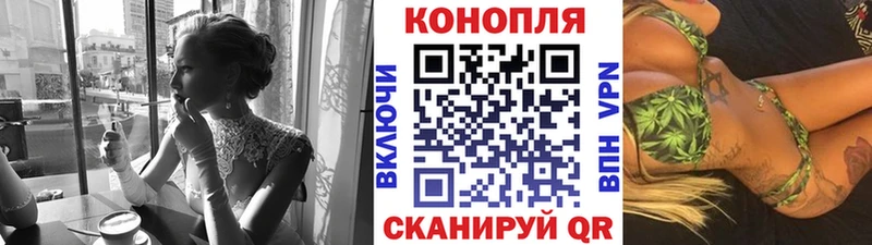Канабис планчик Карабаш
